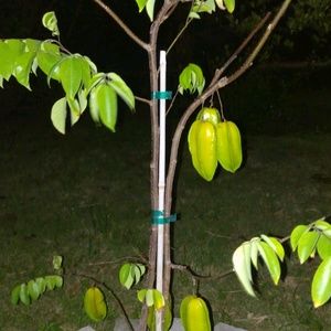 Meet your Posher, Yves